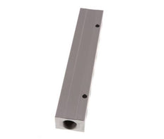 2xG 1/2'' x 12xG 1/4'' Aluminium Verdeelblok Dubbelzijdig 16 Bar