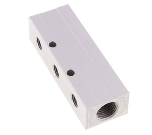 2xG 1/2'' x 3xG 1/4'' Aluminium Verdeelblok Eenzijdig 16 Bar