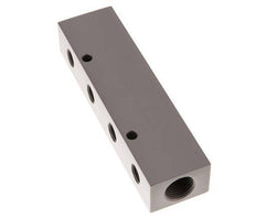 2xG 1/2'' x 4xG 1/4'' Aluminium Verdeelblok Eenzijdig 16 Bar