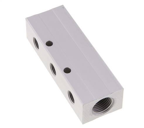 2xG 1/2'' x 6xG 1/4'' Aluminium Verdeelblok Dubbelzijdig 16 Bar