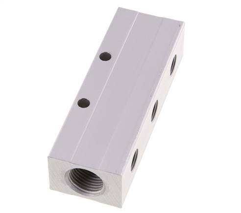 2xG 1/2'' x 6xG 1/4'' Aluminium Verdeelblok Dubbelzijdig 16 Bar