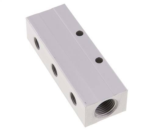 2xG 1/2'' x 6xG 1/4'' Aluminium Verdeelblok Dubbelzijdig 16 Bar