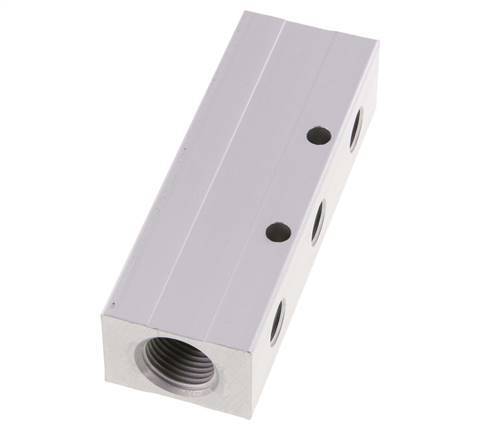 2xG 1/2'' x 6xG 1/4'' Aluminium Verdeelblok Dubbelzijdig 16 Bar