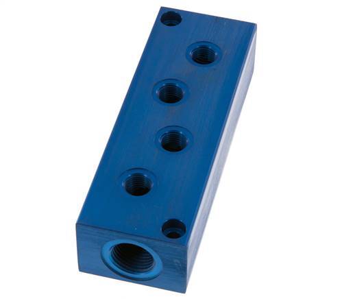 2xG 1/2'' x 8xG 1/4'' Aluminium Verdeelblok Eenzijdig 16 Bar