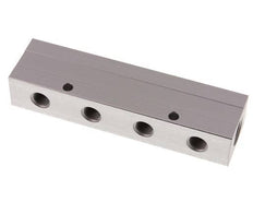 2xG 1/2'' x 8xG 1/4'' Aluminium Verdeelblok Dubbelzijdig 16 Bar