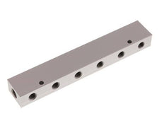 2xG 1/4'' x 12xG 1/8'' Aluminium Distributor Block Double-sided 16 Bar