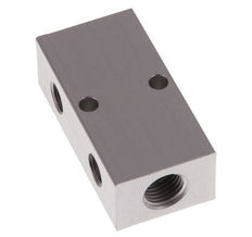 2xG 1/4'' x 2xG 1/8'' Aluminium Verdeelblok Eenzijdig 16 Bar