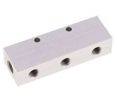 2xG 1/4'' x 3xG 1/8'' Aluminium Verdeelblok Eenzijdig 16 Bar