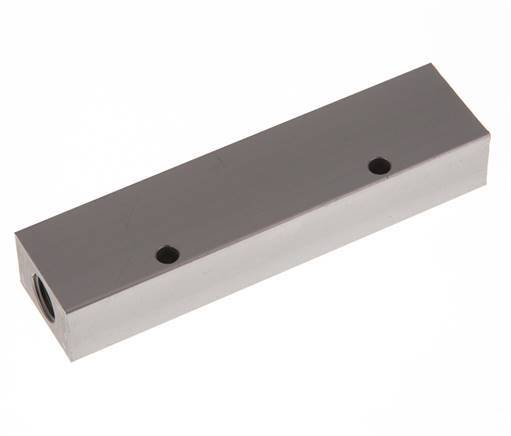 2xG 1/4'' x 4xG 1/8'' Aluminium Verdeelblok Eenzijdig 16 Bar