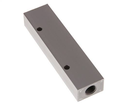 2xG 1/4'' x 4xG 1/8'' Aluminium Verdeelblok Eenzijdig 16 Bar