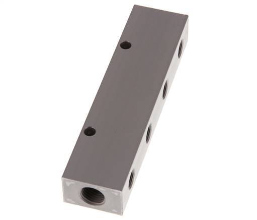 2xG 1/4'' x 4xG 1/8'' Aluminium Verdeelblok Eenzijdig 16 Bar