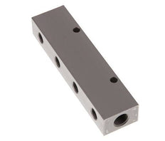 2xG 1/4'' x 4xG 1/8'' Aluminium Verdeelblok Eenzijdig 16 Bar