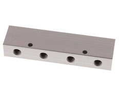 2xG 1/4'' x 8xG 1/8'' Aluminium Verdeelblok Dubbelzijdig 16 Bar