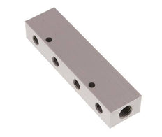 2xG 1/4'' x 8xG 1/8'' Aluminium Verdeelblok Dubbelzijdig 16 Bar