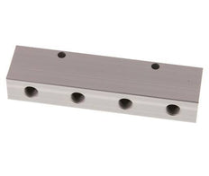 2xG 1/4'' x 8xG 1/8'' Aluminium Verdeelblok Dubbelzijdig 16 Bar