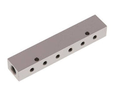 2xG 1/8'' x 12xM5 Aluminium Distributor Block Double-sided 16 Bar