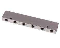 2xG 3/8'' x 12xG 1/4'' Aluminium Verdeelblok Dubbelzijdig 16 Bar