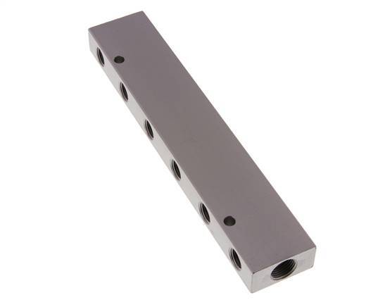 2xG 3/8'' x 12xG 1/4'' Aluminium Verdeelblok Dubbelzijdig 16 Bar