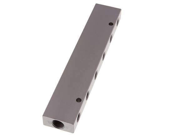 2xG 3/8'' x 12xG 1/4'' Aluminium Verdeelblok Dubbelzijdig 16 Bar