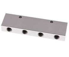 2xG 3/8'' x 8xG 1/4'' Aluminium Verdeelblok Dubbelzijdig 16 Bar