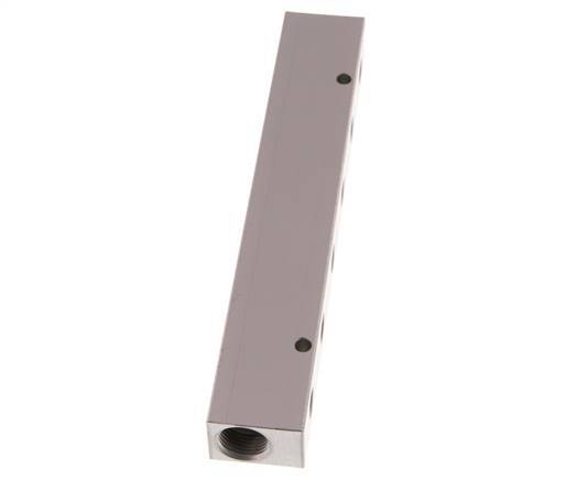 2xG 3/8'' x 6xG 1/8'' Aluminium Verdeelblok Eenzijdig 16 Bar