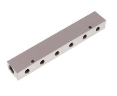2xG 3/8'' x 6xG 1/8'' Aluminium Verdeelblok Eenzijdig 16 Bar