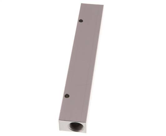 2xG 3/8'' x 6xG 1/8'' Aluminium Verdeelblok Eenzijdig 16 Bar