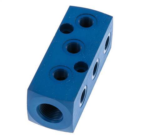1xG 3/8'' x 9xG 1/8'' Aluminium Verdeelblok Eenzijdig 16 Bar