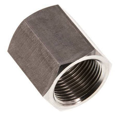 G 3/4'' RVS Sok 40 Bar