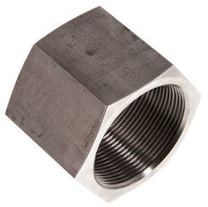 G 2'' RVS Sok 40 Bar