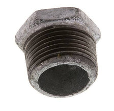 R 1'' x Rp 3/8'' M/F Zinc plated Cast iron Reducing Ring 25 Bar [2 Pieces]