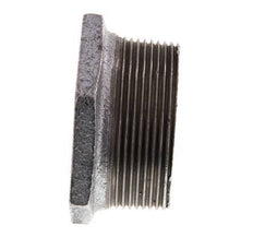 R 2'' x Rp 1'' M/F Verzinkt Gietijzeren Verloopring 25 Bar