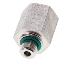 G 1/8'' x G 1/4'' M/F RVS Neusstuk 630 Bar - Hydrauliek