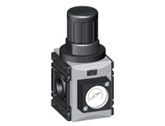 Pressure Regulator for Manifold Assembly G1/4'' 1000 l/min 0.5-10.0bar/7-145psi PA Futura 0