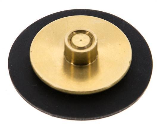 Vervangingsmembraan G1/4'' waterdrukregelaars S-48RD
