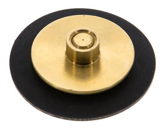 Vervangingsmembraan G1/4'' waterdrukregelaars S-48RD