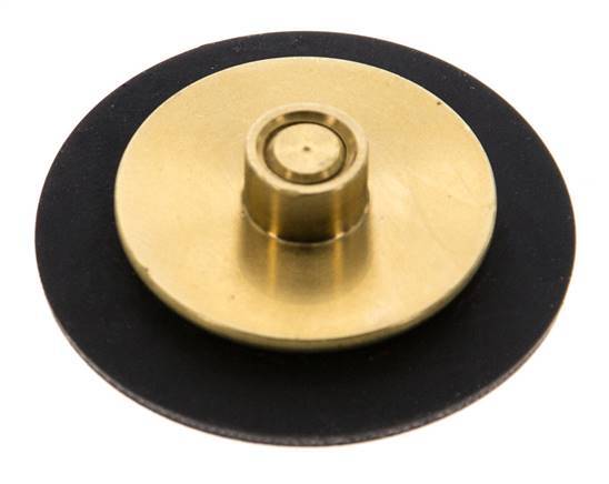 Vervangingsmembraan G1/4'' waterdrukregelaars S-48RD