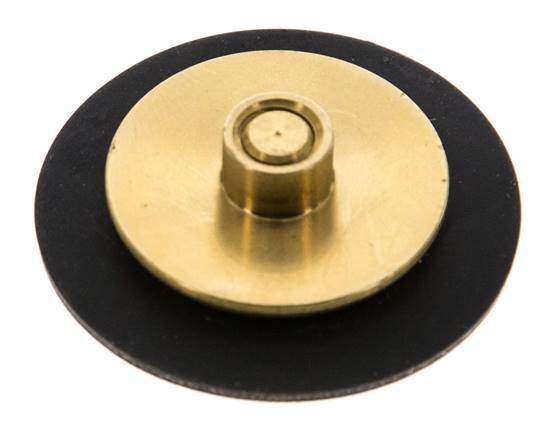Vervangingsmembraan G1/4'' waterdrukregelaars S-48RD