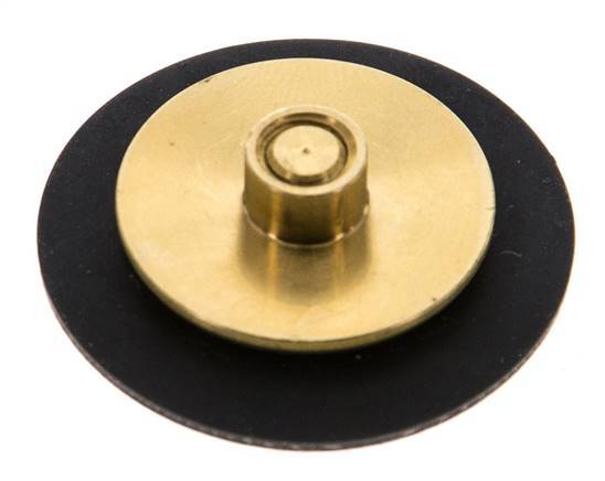 Vervangingsmembraan G1/4'' waterdrukregelaars S-48RD