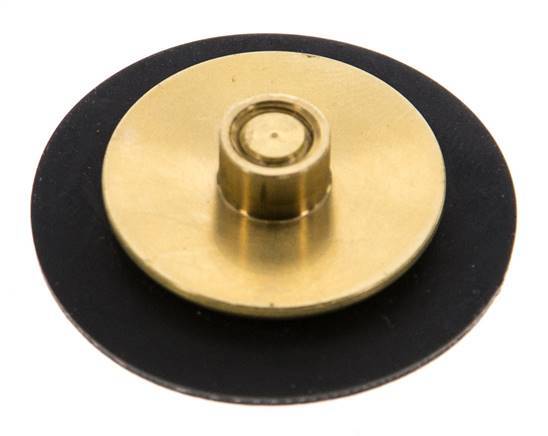 Vervangingsmembraan G1/4'' waterdrukregelaars S-48RD