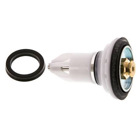 Vervangingsset voor kleppen R 1'' en R 11/4'' 1,5 - 12 bar Braukmann