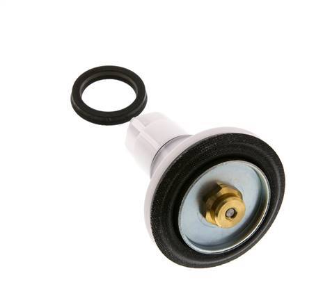 Vervangingsset voor kleppen R 1-1/2'' en R 2'' Braukmann