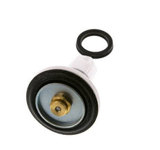 Vervangingsset voor kleppen R 1-1/2'' en R 2'' Braukmann