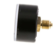 0..0.6 Bar Manometer Achteraansluiting Staal/Messing 50 mm Klasse 1.6