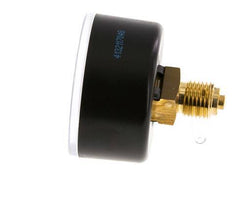 0..25 Bar (0..363 psi) Pressure Gauge Rear Plastic/Brass 50 mm Class 2.5