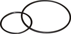 O-Ring for Futura 1 [50 Pieces]