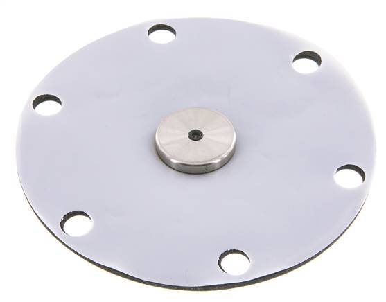 Vervangingsmembraan PTFE/NBR 1''.