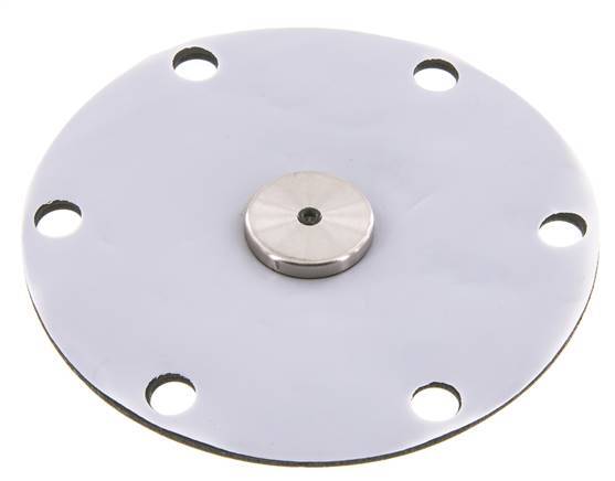 Vervangingsmembraan PTFE/NBR 1''.