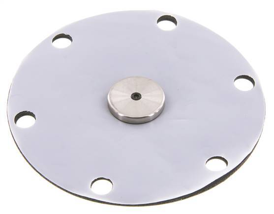 Vervangingsmembraan PTFE/NBR 1''.