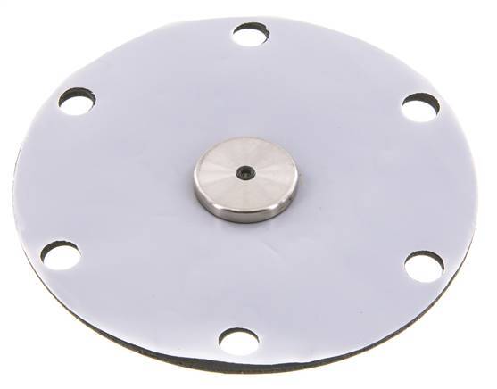 Vervangingsmembraan PTFE/NBR 1''.